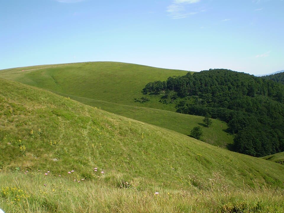 Bitovnja
