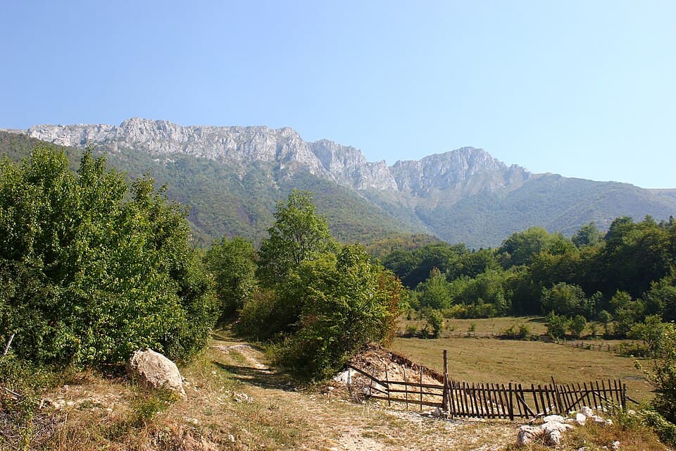 Vlašić