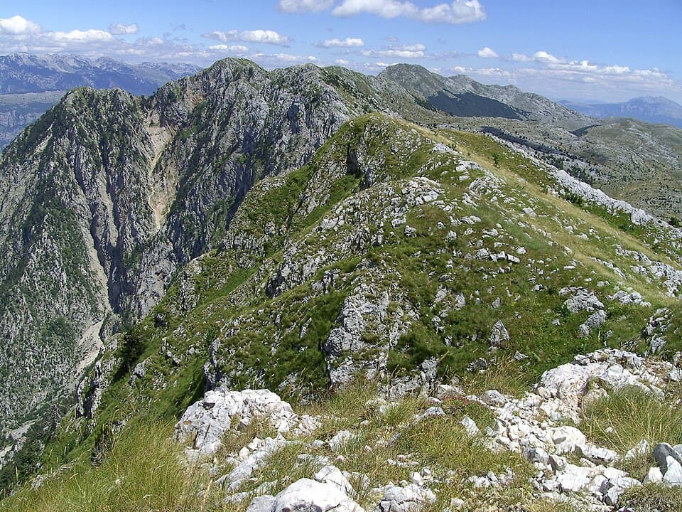 Čabulja
