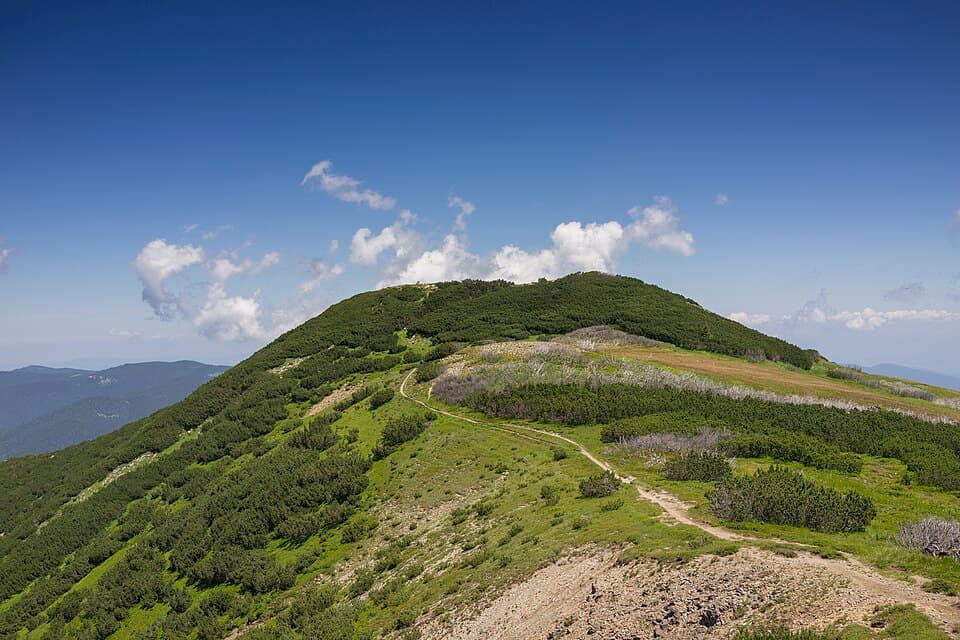 Vranica