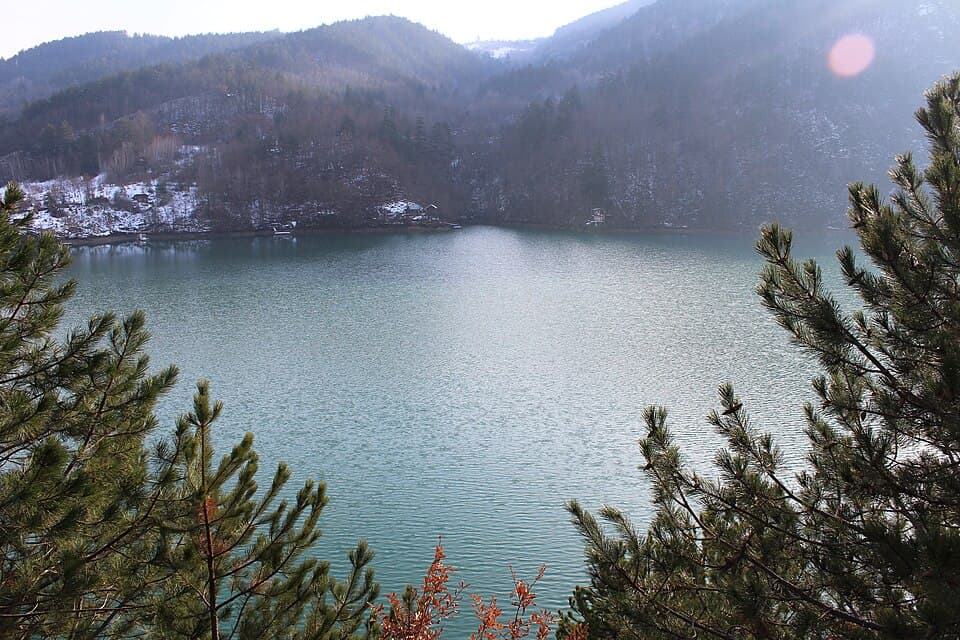 Drina