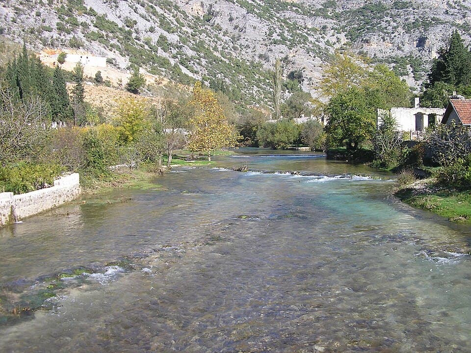 Bregava